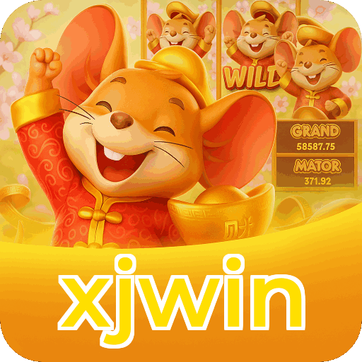 Métodos de pagamento aceitos na xjwin